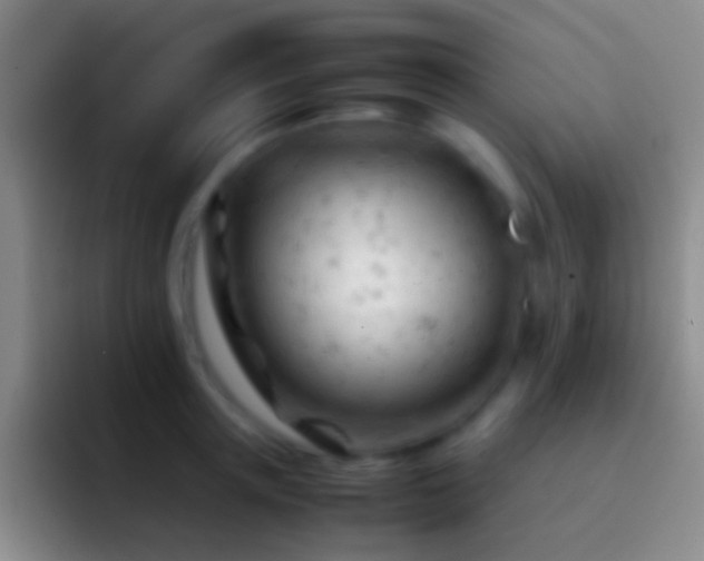 X0000092310851200709211248