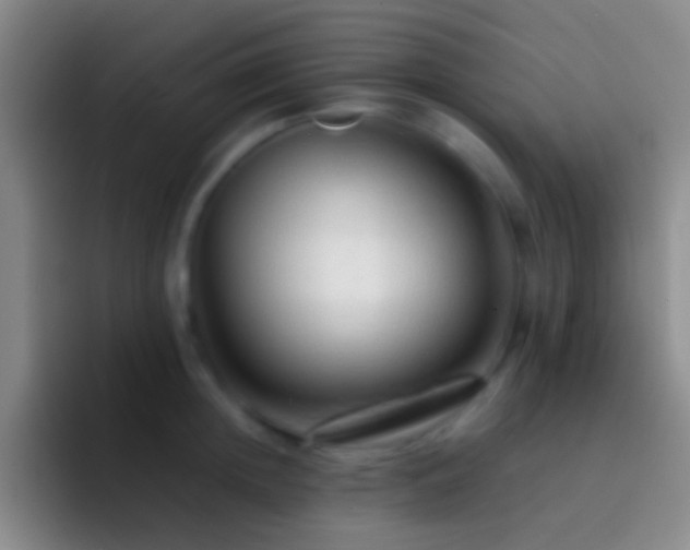 X0000092310852200709211248