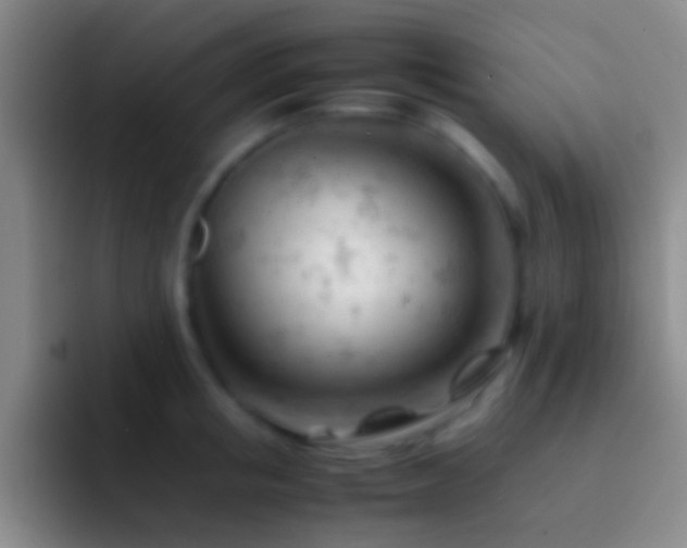 X0000092310853200709211248