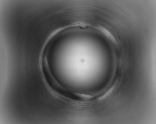 X0000092310854200709211248