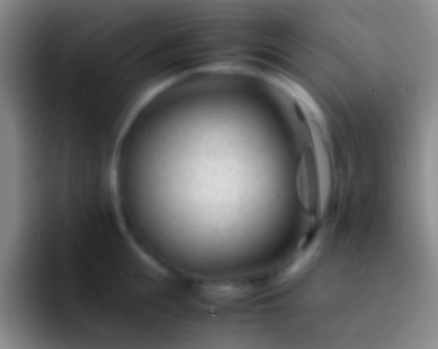 X0000092310855200709211248