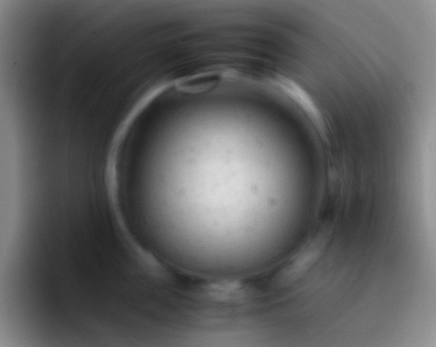 X0000092310859200709211248