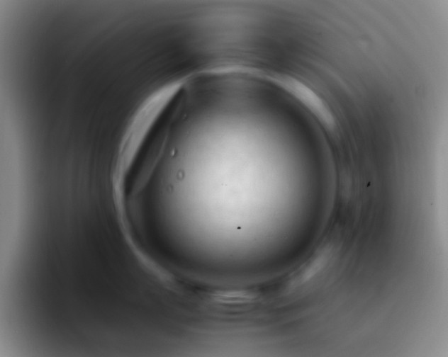 X0000092310863200709211248