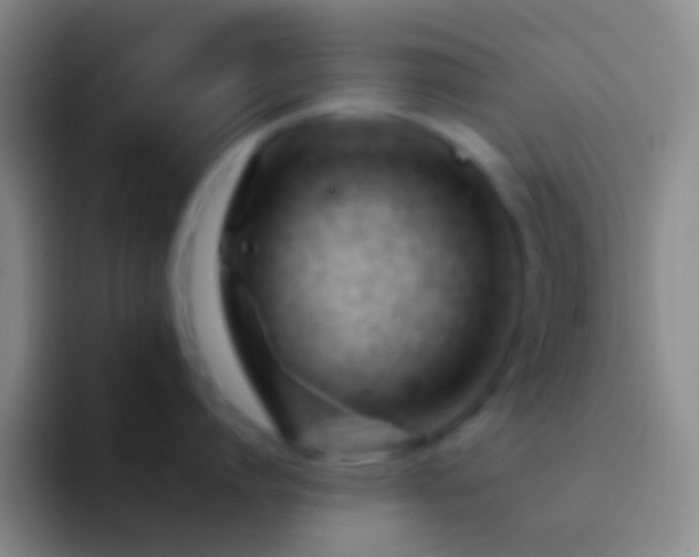 X0000092310864200709211248