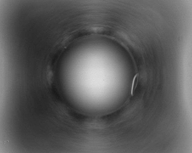 X0000092310866200709211247