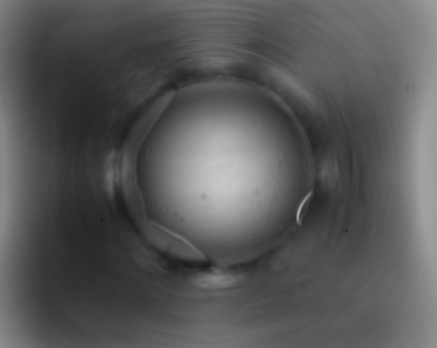 X0000092310868200709211247