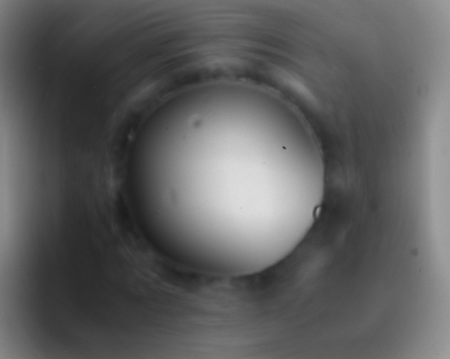 X0000092310869200709211247