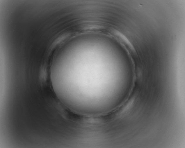 X0000092310874200709211247