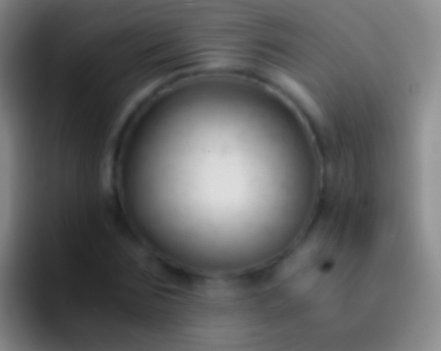 X0000092310875200709211247