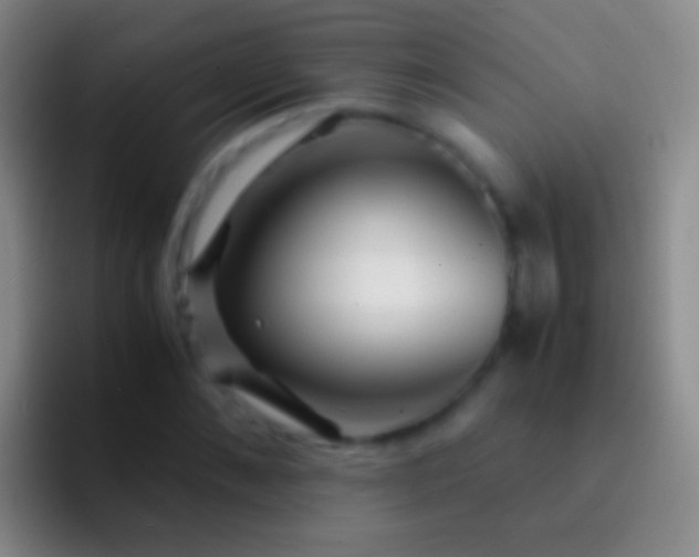X0000092310876200709211247