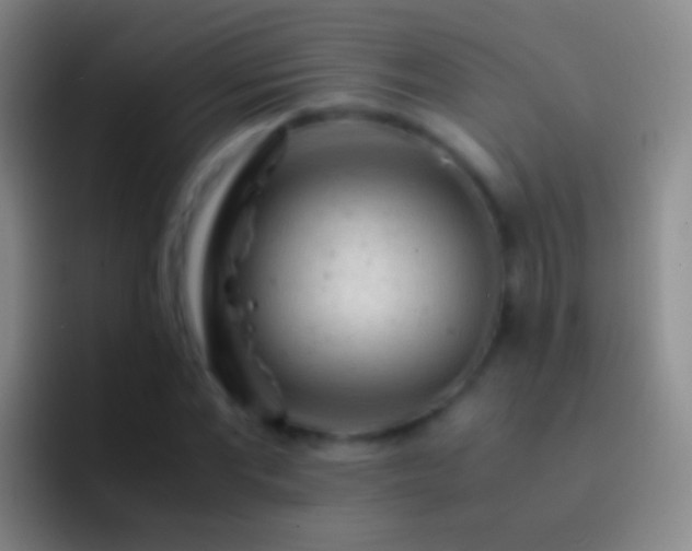 X0000092310877200709211247