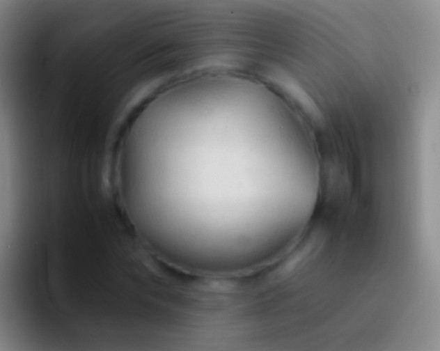 X0000092310878200709211247