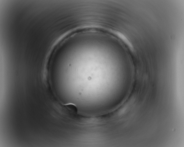 X0000092310879200709211247