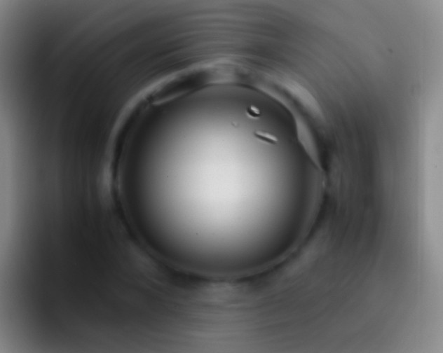 X0000092310880200709211247