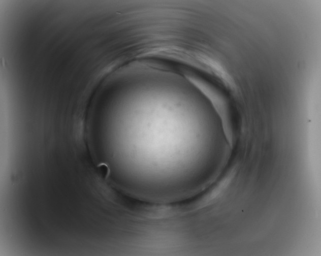 X0000092310881200709211247