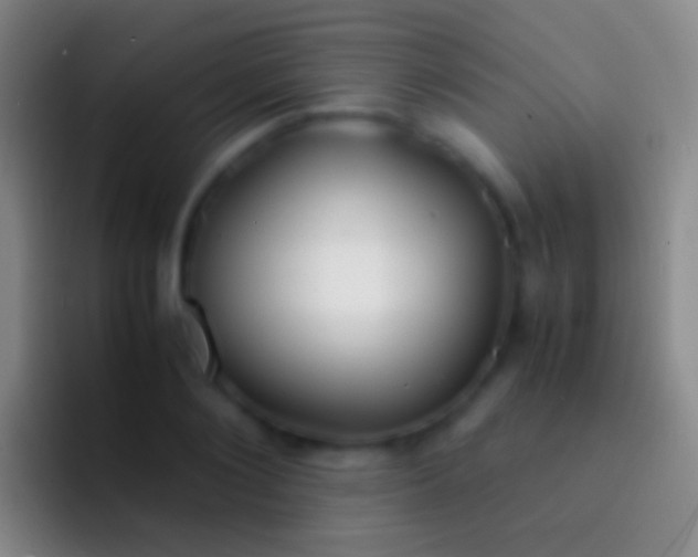X0000092310884200709211247
