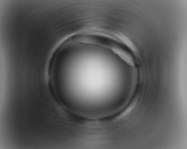 X0000092310885200709211247