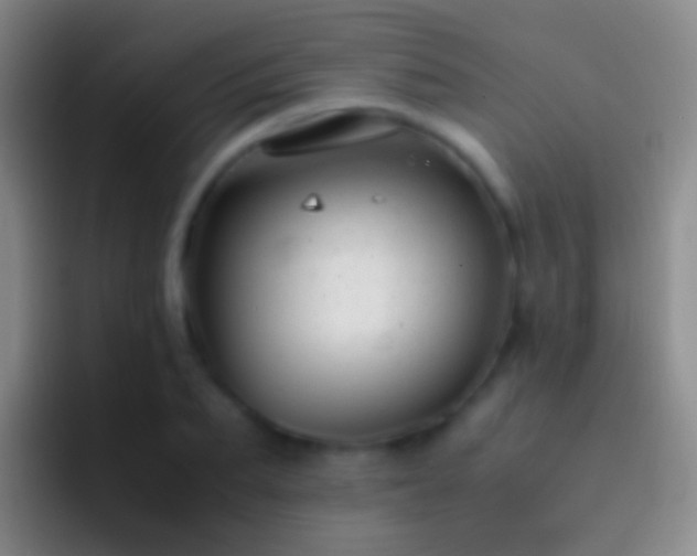 X0000092310887200709211247