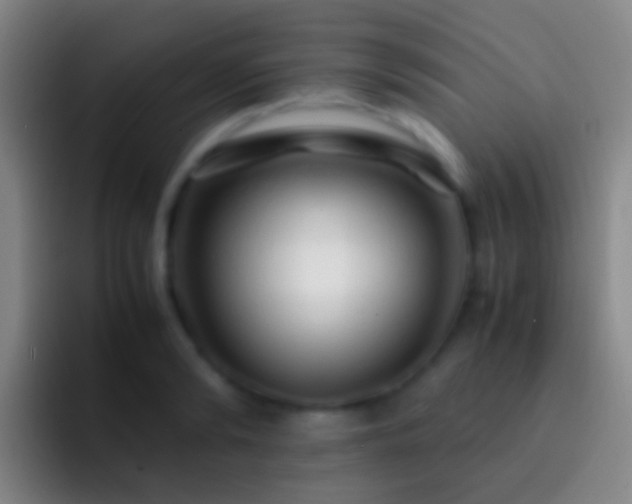 X0000092310894200709211247