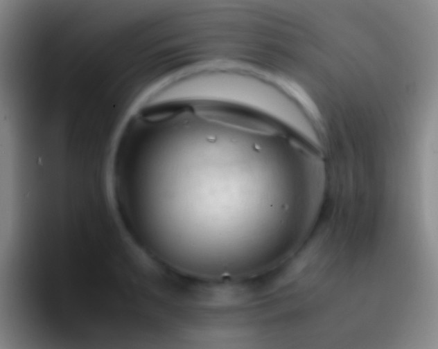 X0000092310895200709211247
