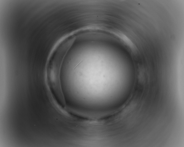 X0000092310896200709211247