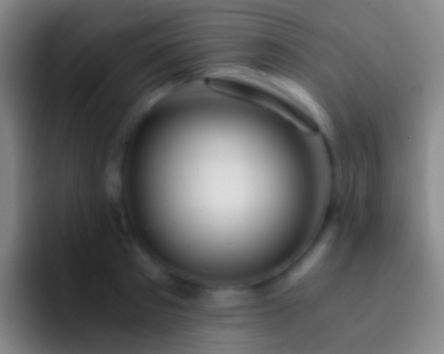 X0000092310897200709211247