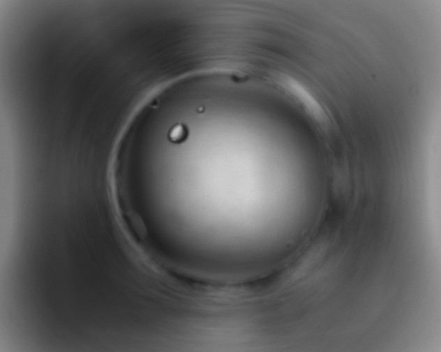 X0000092310899200709211247