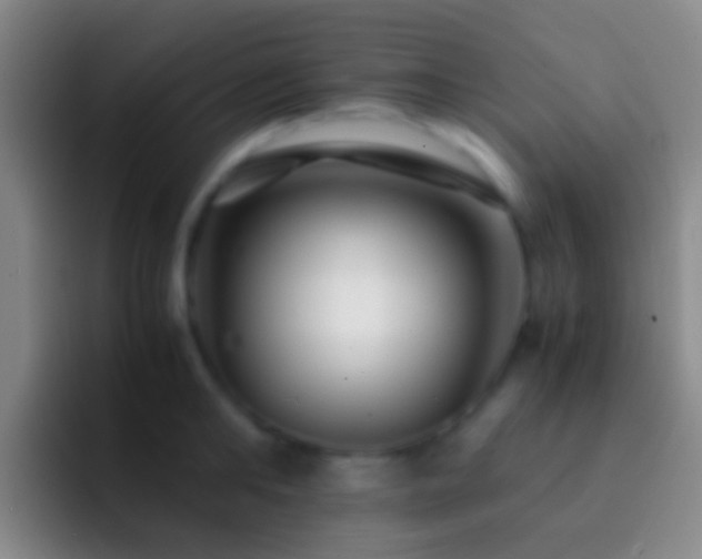 X0000092310902200709211247