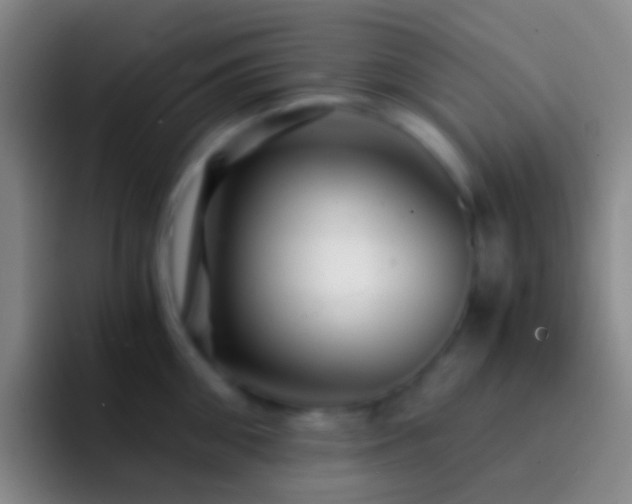 X0000092310906200709211247
