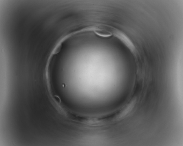 X0000092310907200709211247