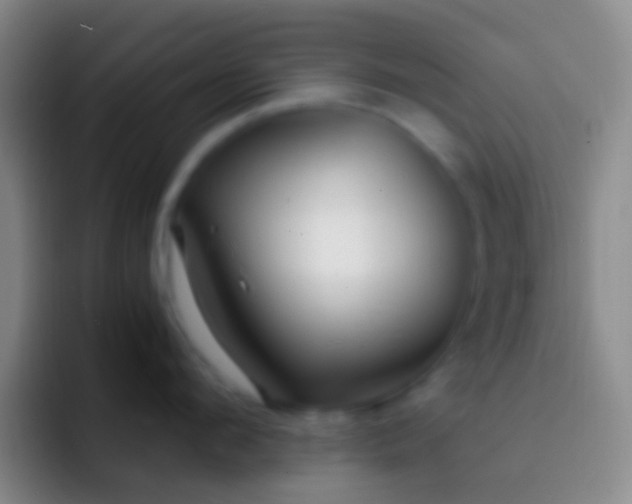 X0000092310912200709211247