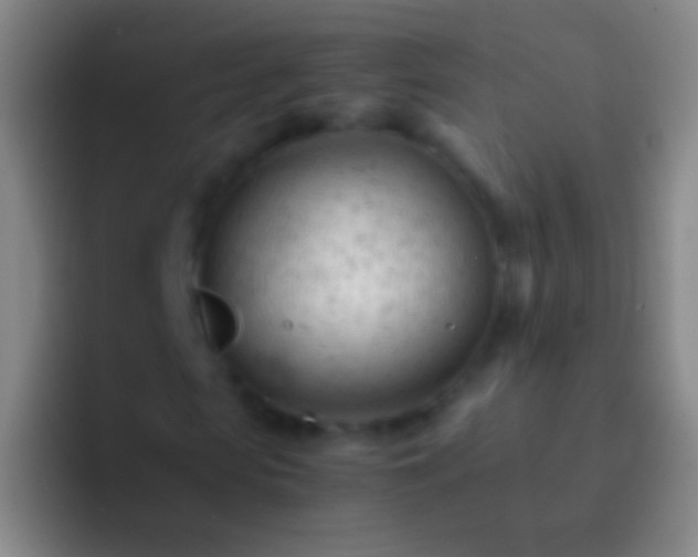 X0000092310913200709211246
