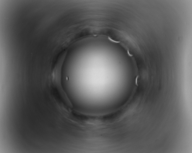 X0000092310914200709211246