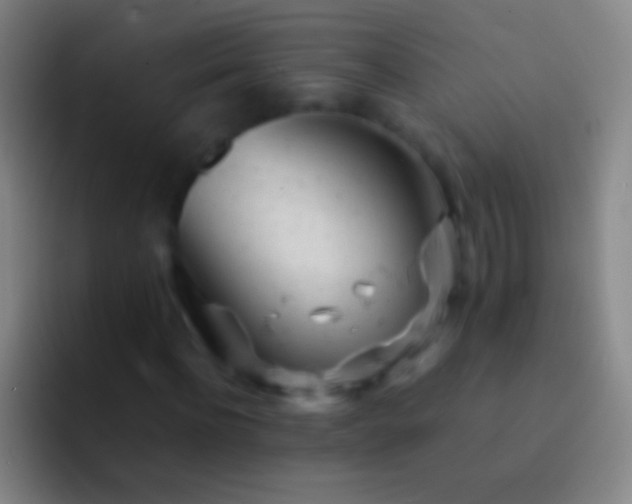 X0000092310916200709211246