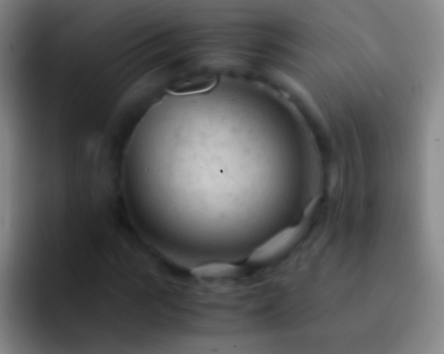 X0000092310919200709211246