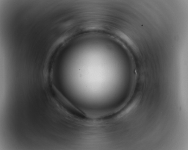 X0000092310922200709211246