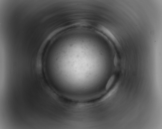 X0000092310923200709211246