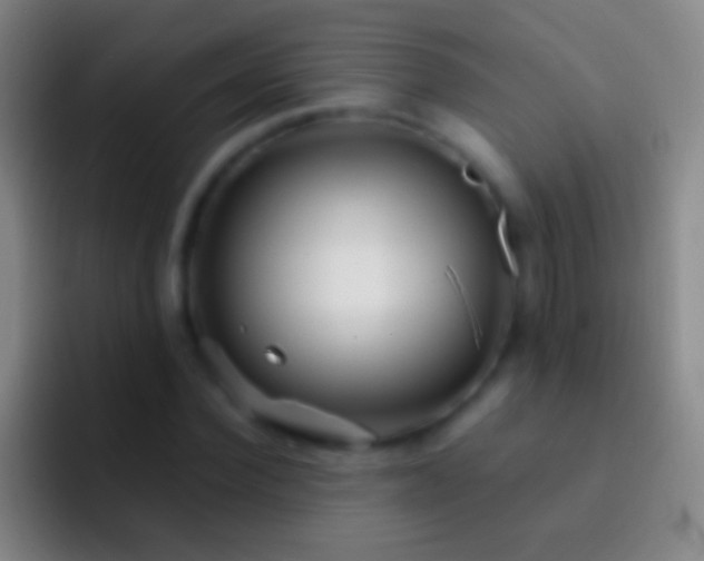X0000092310924200709211246