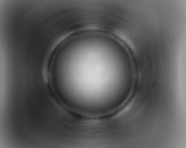 X0000092310925200709211246