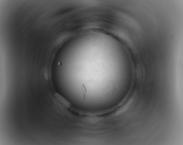X0000092310929200709211246