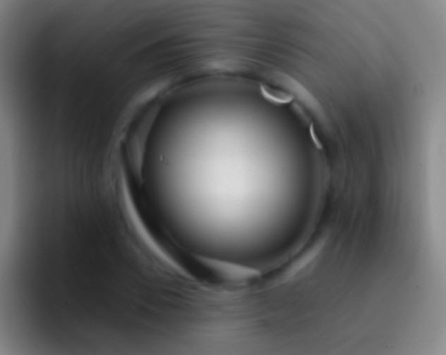 X0000092310930200709211246