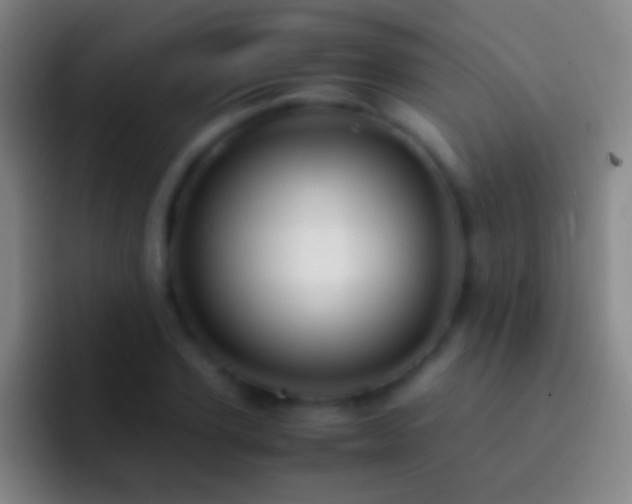 X0000092310931200709211246