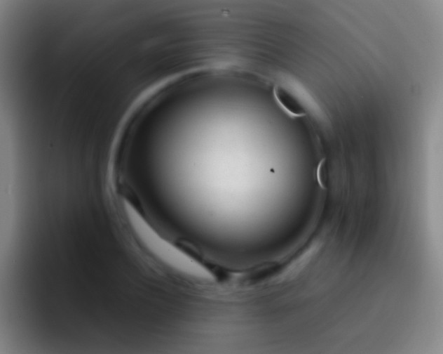 X0000092310932200709211246