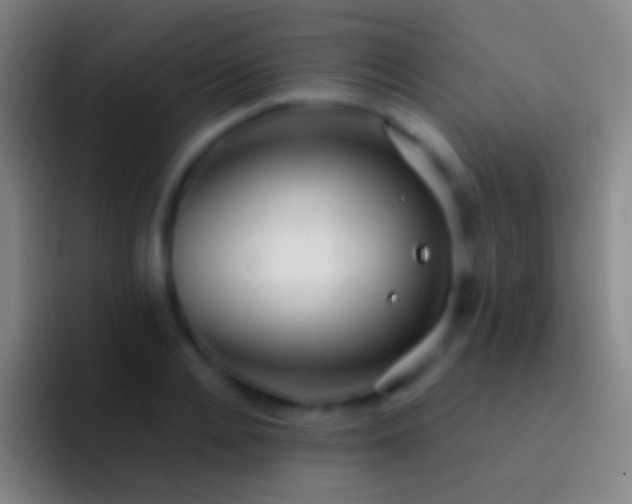 X0000092310936200709211247