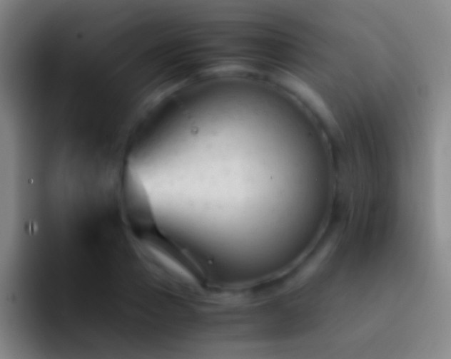 X0000092310937200709211247