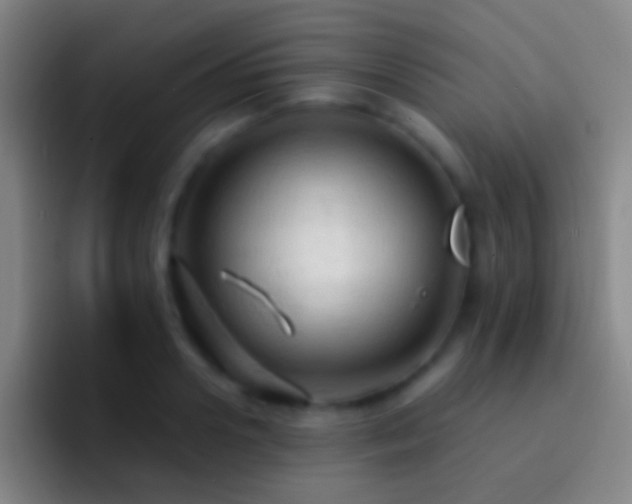 X0000092310938200709211247