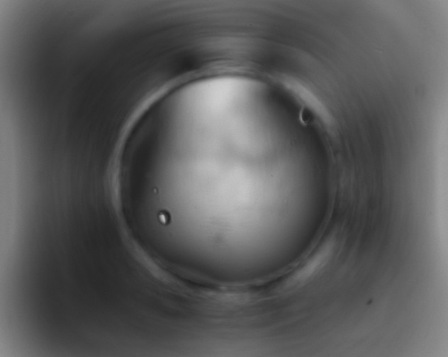 X0000092310941200709211247
