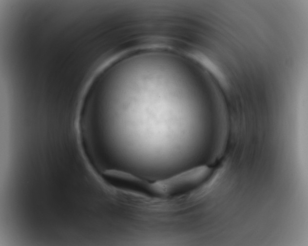 X0000092310943200709211247