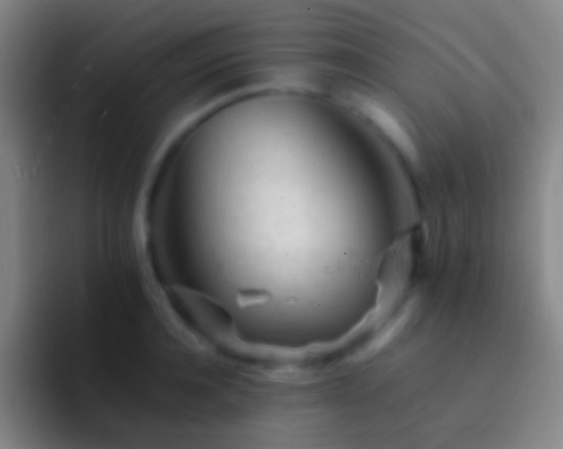 X0000092310944200709211247