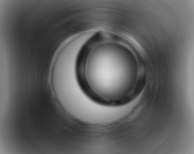 X0000092310948200709211247
